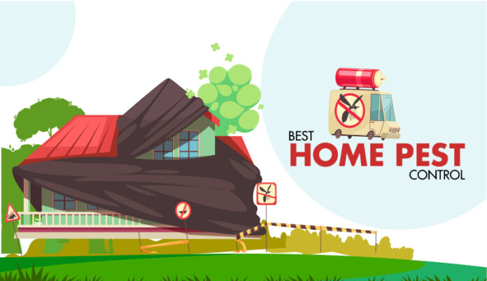 best home pest control